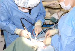 オトガイ形成施術風景